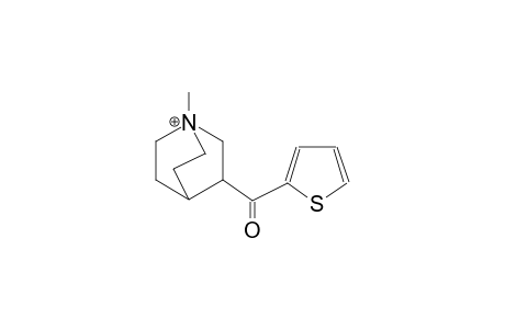 1-methyl-3-(2-thienylcarbonyl)-1-azoniabicyclo[2.2.2]octane