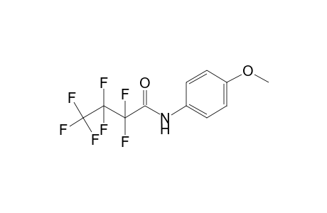 MeOPP-M (4-methoxyaniline) HFB    @