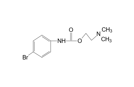 p-bromocarbanilic acid, 2-(dimethylamino)ethyl ester