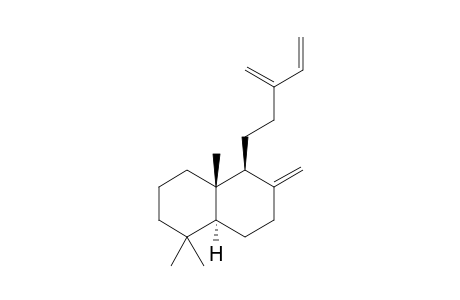 Sclarene