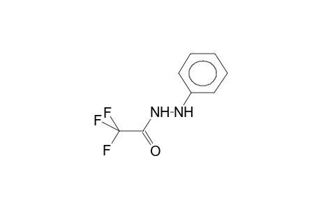 Acetic acid, trifluoro-, 2-phenylhydrazide