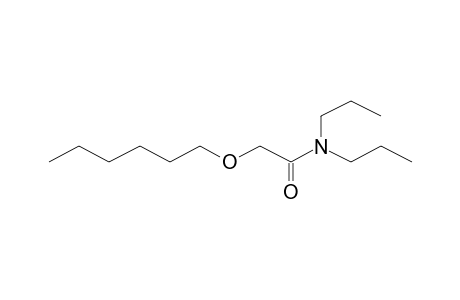 2-Hexyloxy-N,N-dipropylacetamide