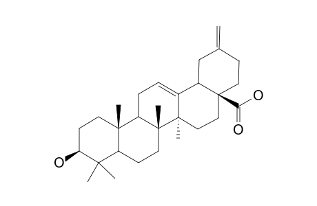 Akebonic acid