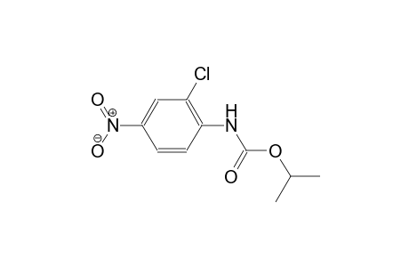 2-chloro-4-nitrocarbanilic acid, isopropyl ester