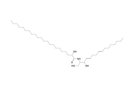 Cer 16:2;2O/22:0;(2OH)