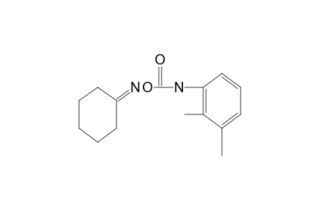 cyclohexanone, O-[(2,3-xylyl)carbamoyl]oxime