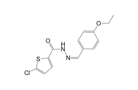 5-chloro-N'-[(Z)-(4-ethoxyphenyl)methylidene]-2-thiophenecarbohydrazide