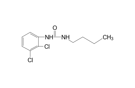 1-butyl-3-(2,3-dichlorophenyl)urea