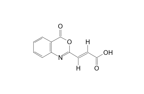 trans-4-oxo-4H-3,1-benzoxazine-2-acrylic acid