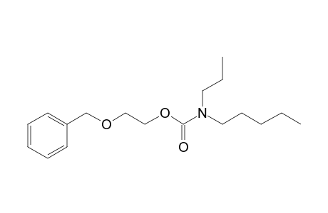 Carbonic acid, monoamide, N-propyl-N-pentyl-, 2-(benzyloxy)ethyl ester