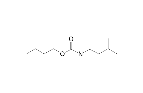 Carbonic acid, monoamide, N-3-methylbutyl-, butyl ester