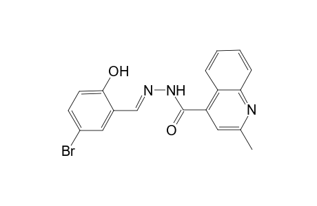 N'-[(E)-(5-bromo-2-hydroxyphenyl)methylidene]-2-methyl-4-quinolinecarbohydrazide