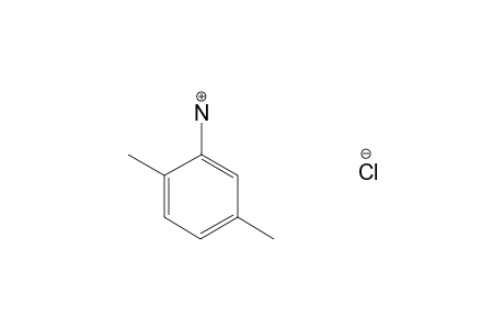 2,5-xylidine, hydrochloride