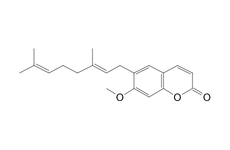 Ostruthin, me derivative