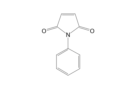 N-phenylmaleimide