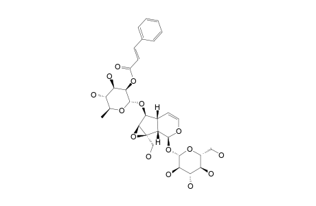 6-O-[(2''-O-TRANS-CINNAMOYL)-ALPHA-L-RHAMNOPYRANOSYL]-CATAPOL;VERBASPINOSIDE