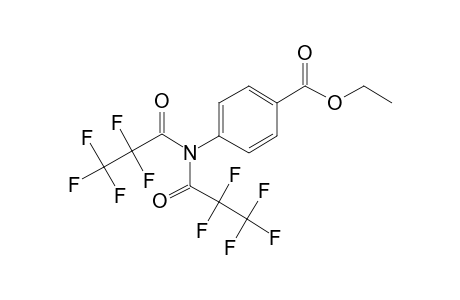 Benzocaine, N,N'-bis(pentafluoropropionyl)-