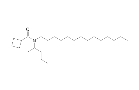 Cyclobutanecarboxamide, N-(2-pentyl)-N-tetradecyl-