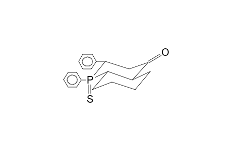 2,3-DIPHENYL-2-THIOXO-2-PHOSPHABICYCLO[4.4.0]DECAN-5-ONE (ISOMER 1)