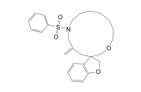 Spiro[benzofuran-3,3'-5'-methylene-N-(phenylsulfonyl)-1'-oxa-7'-azacyclotetradecane]