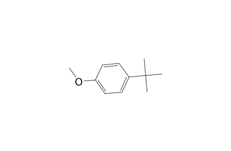 Anisole, p-tert-butyl-