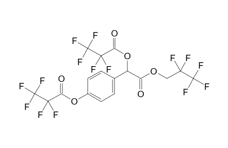 pHMA-PFnP-di-PFP