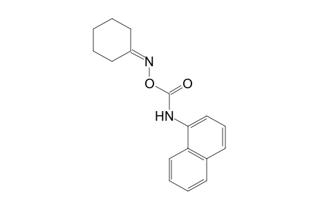 cyclohexanone, O-[(1-naphthyl)carbamoyl]oxime