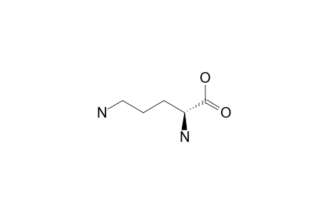 ORNITHINE;REACTED-WITH-HCHO