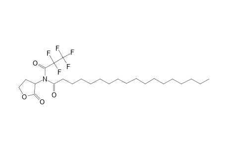 N-Octadecanoyl-L-homoserine lactone, N-pentafluoropropionyl-