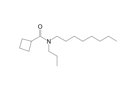 Cyclobutanecarboxamide, N-propyl-N-octyl-