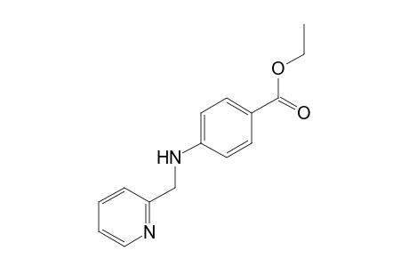 p-{[(2-pyridyl)methyl]amino}benzoic acid, ethyl ester