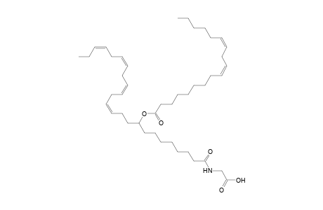 NAGly 18:2/24:4