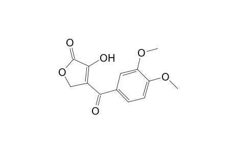 4-(3,4-Dimethoxybenzoyl)-3-hydroxy-2(5H)-furanone