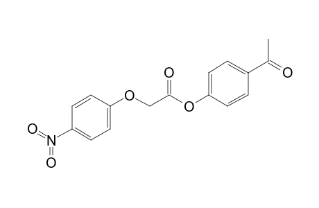 4-Acetylphenyl 4-nitrophenoxyacetate