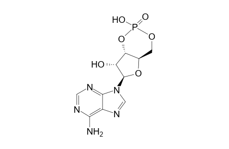 cyclic AMP