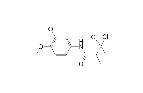 cyclopropanecarboxamide, 2,2-dichloro-N-(3,4-dimethoxyphenyl)-1-methyl-