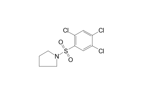 1-[(2,4,5-trichlorophenyl)sulfonyl]pyrrolidine