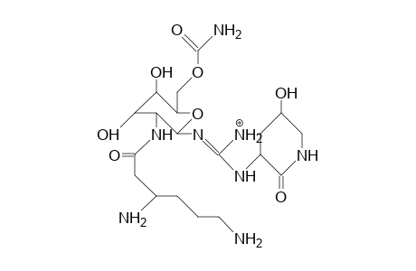 Streptothricin F cation