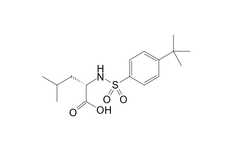 N-(4-tert-butylphenylsulfonyl)-(S)-leucine