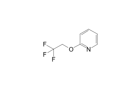 2-(2,2,2-Trifluoromethoxy)-pyridine