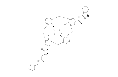 11-(N-CARBOBENZOXY-L-ALANINE)-AMINO-23-O-BENZOTRIAZOLYLOXYCARBONYL-25,27-DIHYDROXY-26,28-DIPROPOXYCALIX-[4]-ARENE