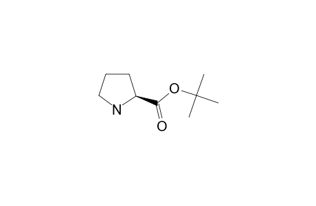 L-Proline tert-butyl ester