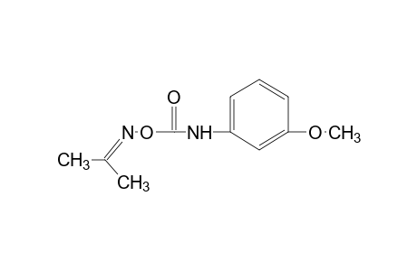 acetone, O-[(m-methoxyphenyl)carbamoyl]oxime