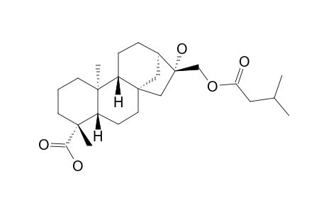 (5.beta.,8.alpha.,9.beta.,10.alpha.,13.alpha.,16.beta.)-16-Hydroxy-17-((3-methylbutanoyl)oxy)kauran-18-oic acid