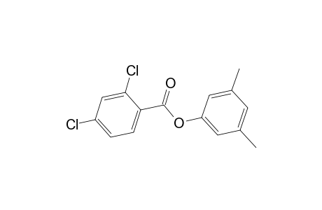 3,5-xylenol, 2,4-dichlorobenzoate