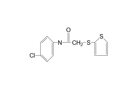 4'-chloro-2-[(2-thienyl)thio]acetanilide