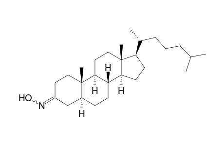 5α-Cholestan-3-one oxime