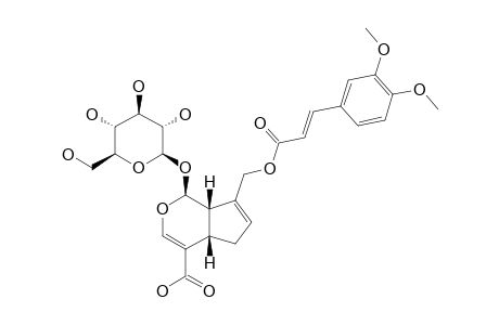 10-O-(TRANS-3,4-DIMETHOXYCINNAMOYL)-GENIPOSIDIC-ACID
