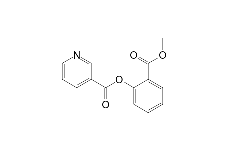 2-(Methoxycarbonyl)phenyl nicotinate