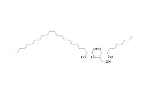 Cer 11:0;3O/22:1;(2OH)